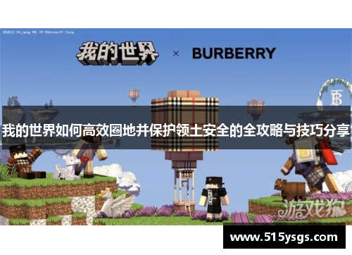 我的世界如何高效圈地并保护领土安全的全攻略与技巧分享