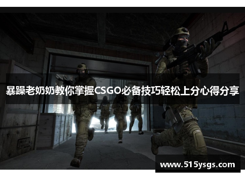 暴躁老奶奶教你掌握CSGO必备技巧轻松上分心得分享